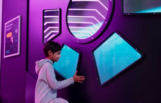 Special exhibitions